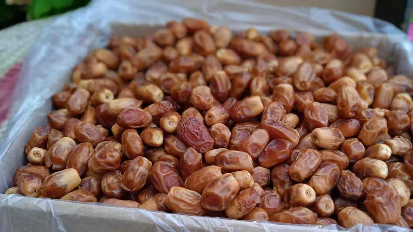 خرید و قیمت خرما زاهدی صادراتی + فروش صادراتی